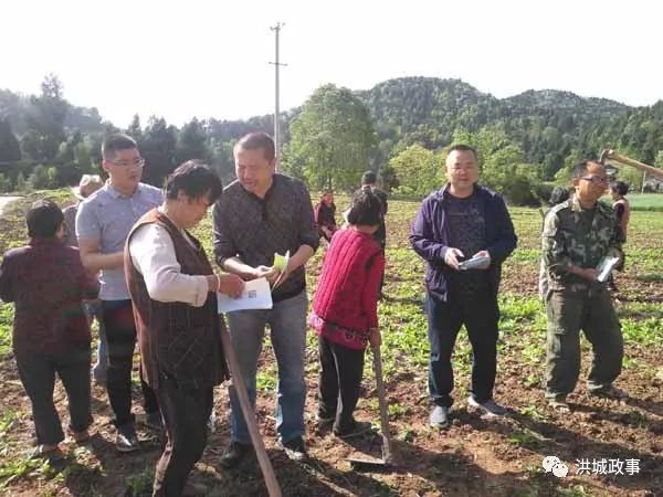 织贡农场交通新闻更新