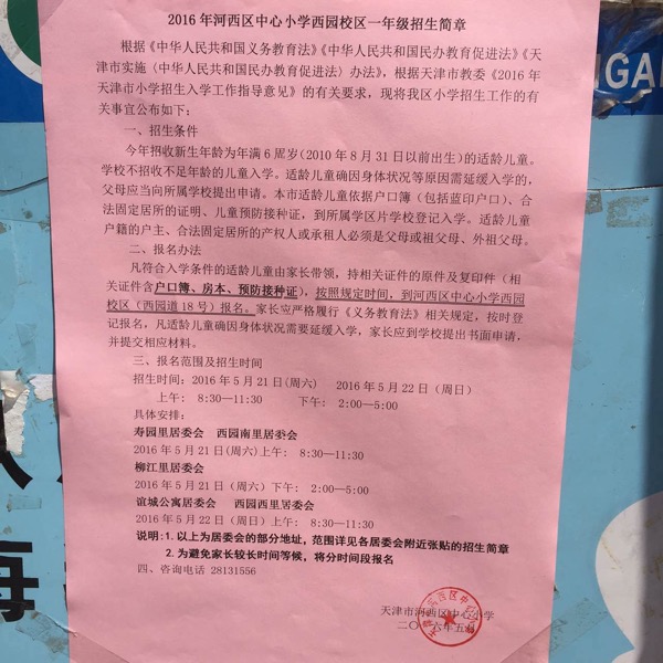 西岗区小学全新招聘启事概览